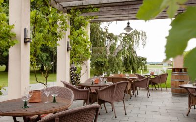 Weinwirtschaft