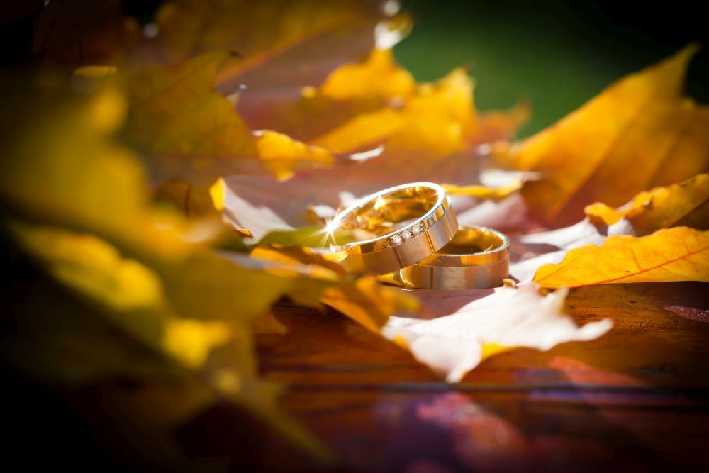Zwei goldene Eheringe liegen auf einer Holzoberfläche, umgeben von leuchtend gelben Herbstblättern, und sanftes Licht hebt die Szene hervor.