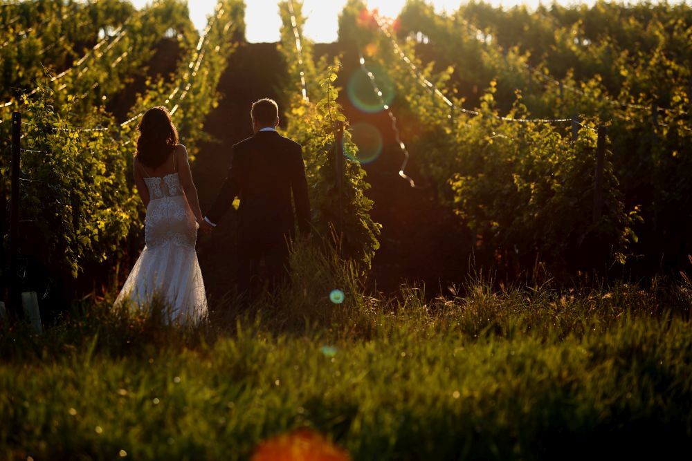 Ein Paar in Hochzeitskleidung geht Hand in Hand einen Weg durch einen sonnenbeschienenen Weinberg entlang. Die Braut trägt ein weißes Kleid und der Bräutigam einen dunklen Anzug. Das Sonnenlicht erzeugt ein Linsenreflexion und wirft einen warmen Schein auf die Szene.